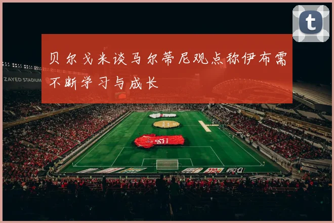 贝尔戈米谈马尔蒂尼观点称伊布需不断学习与成长
